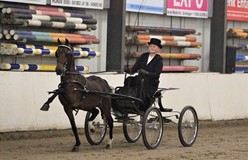 Amy Tewis driemaal op kop in Beilen