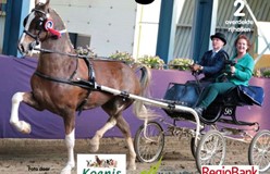 Indoor Benningbroek