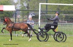 Bernard van de Wormink beste Hackney nieuweling in Doornspijk