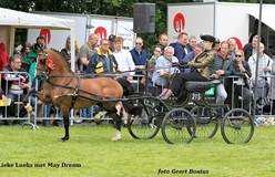 Lieke Lueks en May Dream winnen twee keer in Grootegast