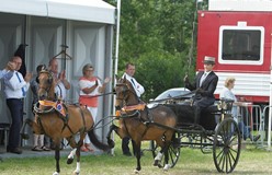 Jan Jordans rijdt Eagle’s Pocket Rocket en Eagle’s Daylight naar tandemkampioenschap