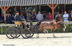 Brookfield My Way en Brookfield Olympics Dreams kampioen tweespannen