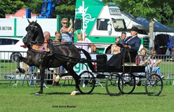 Gijs Rozendaal en Black Sparrow prolongeren titel grote maat in Opmeer