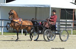 Vijfde kampioenstitel voor Els d’ Achard en Here I Am op 75 - jarig jubileumconcours hippique van Rijs