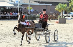 Rianne Kimenai en Stefke-H winnen Young Riders competitie