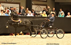 Schitterende kampioenen tijdens sfeervol CH Indoor Tolbert