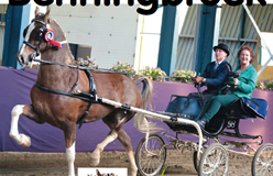 Indoor Benningbroek vervallen