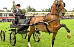 Jan Brinkhuis overleden