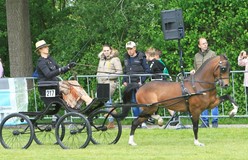 Dubbelslag voor Highway’s Dreamboy in Grootegast