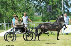 Huckriede-feestje in Drogeham