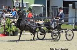 Leyrun Headliner naar Eclipse fokkerij van Jos Mom