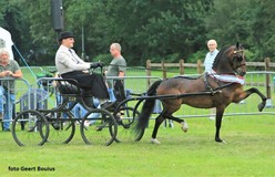 Jarin Vos wint met Eclipse Formidable ereklasse kampioenschap Noord