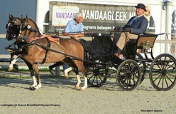 Brookfield Olympic Dreams en Luddington Hi Five tweespankampioen in Tolbert