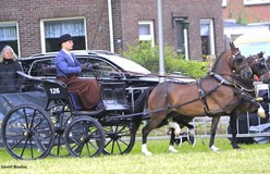 Gert Wouters in Diever kampioen tweespan Hackney’s regio Noord