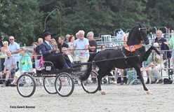 Hackney Eclipse Grasshopper prolongeert Nederlandse titel in Rijs