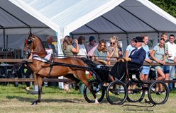 Henri Hutten rijdt Maroanka’s Bellisimo naar kampioenschap Noord