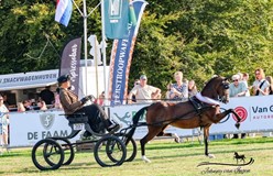 Nathalie Buwalda dameskampioen met Hackney Janis van de Kiefkampen