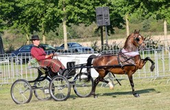 Els d'Achard met Here I Am kampioen Ereklasse Regionaal Zuid
