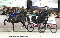 Inge Jansen wint nieuwelingklasse met Dreamcatcher