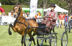 Drie overwinningen voor Els ‘d Achard van Enschut op Koningsdag in De Bilt