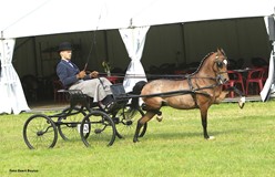 Dubbelslag voor Ardingly’s The Show Must Go On in Garyp