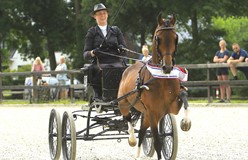 Eerste kampioenstitel voor Highway’s Dream Boy in Hellendoorn