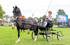 Black Benson DVN nieuwe nationale kampioen ereklasse in Opmeer