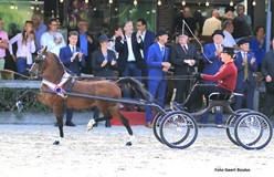 Femke Kimenai en Stefke-H winnen Young Riders competitie